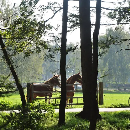Hotel Umberto Wijchen
