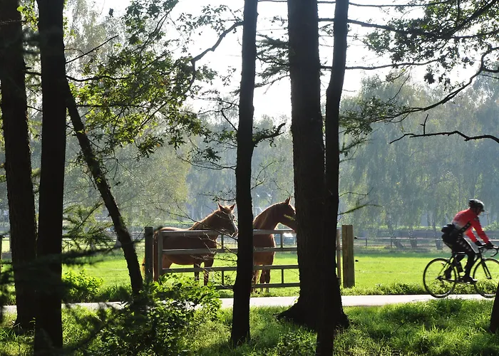 Hotel Umberto Wijchen