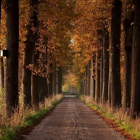 فندق Umberto فايخن