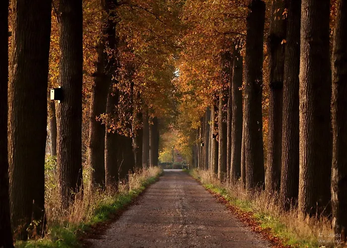 فندق Umberto فايخن